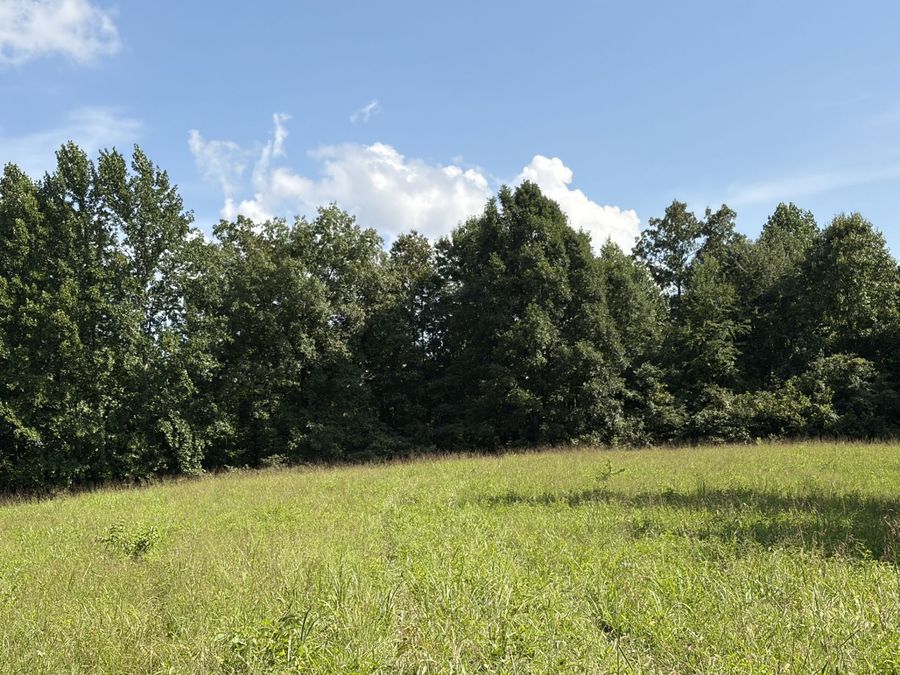 Property Image 60
