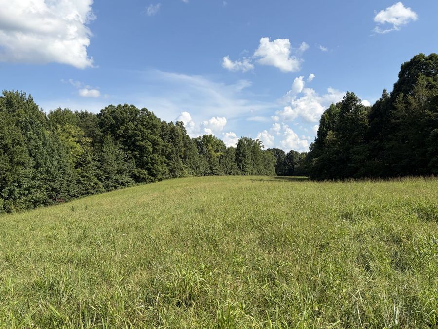 Property Image 62