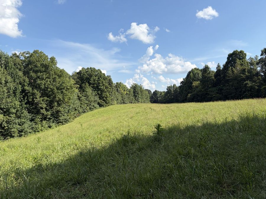 Property Image 63