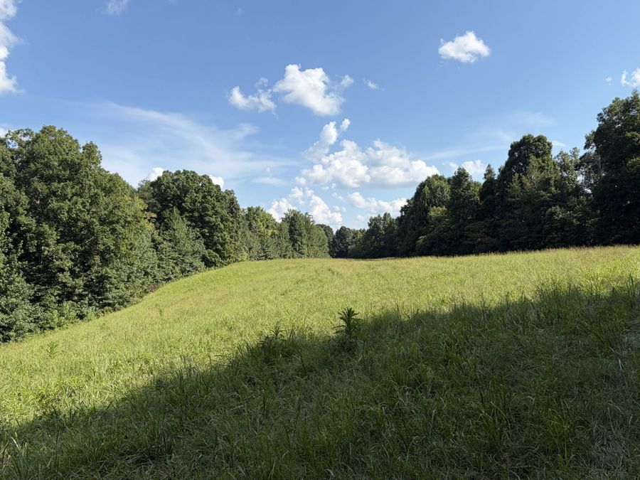 Property Image 64