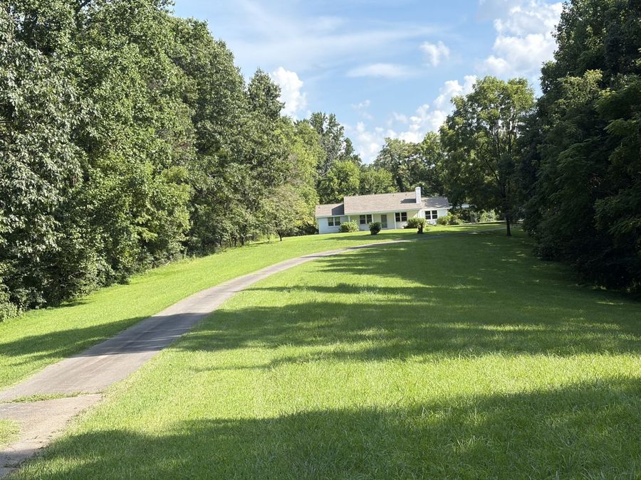 Property Image 65