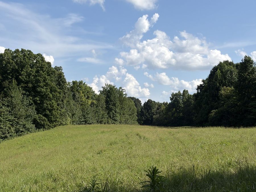 Property Image 68