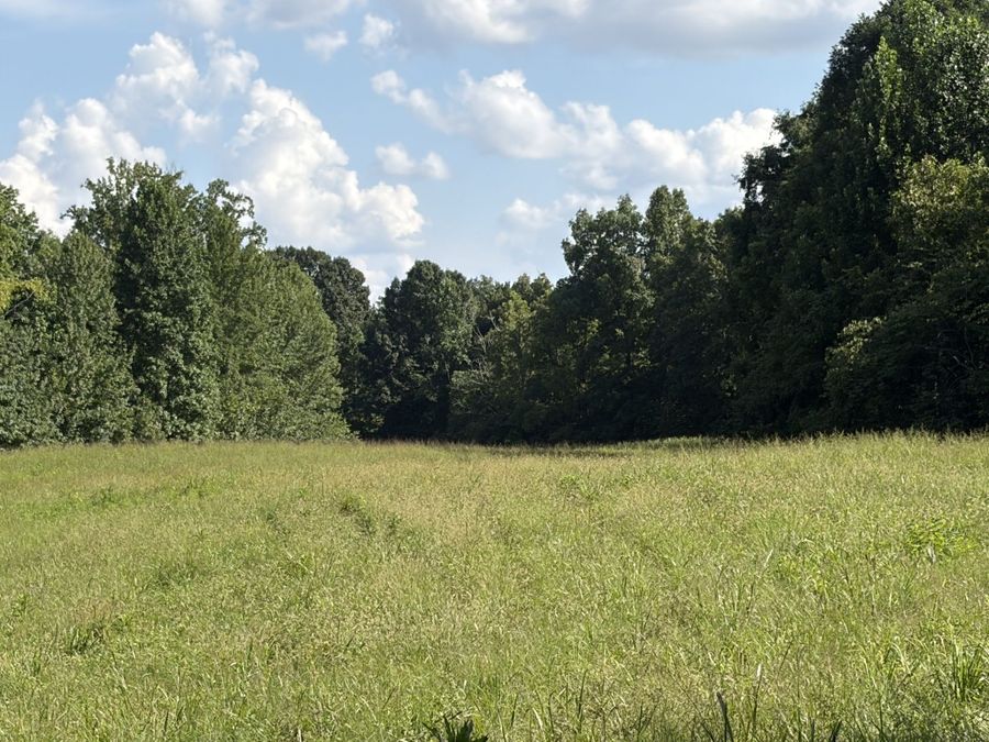 Property Image 69