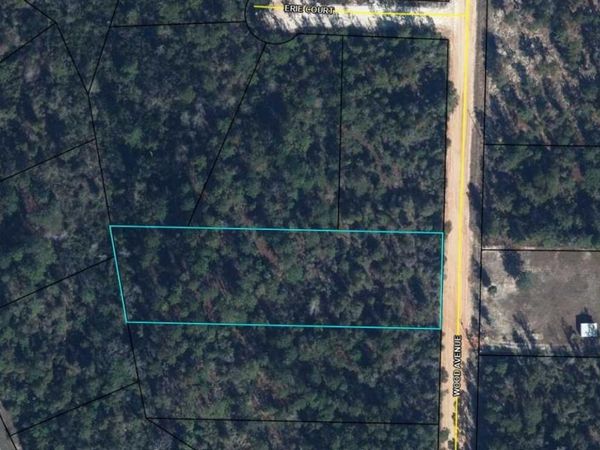 0 Wood Avenue , Alford, FL 32420