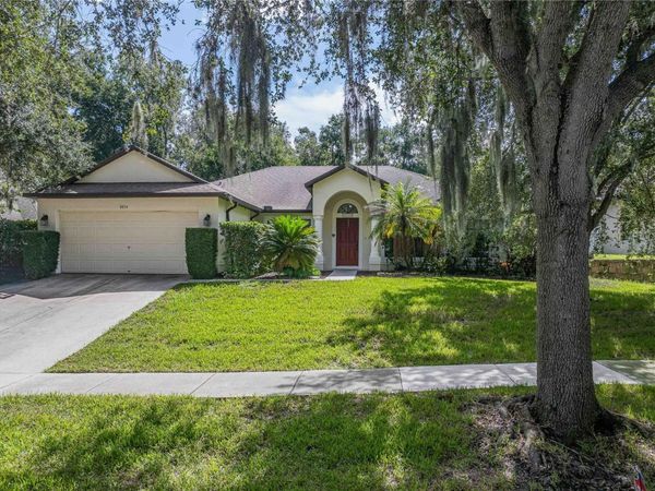8834 ALAFIA COVE DRIVE , RIVERVIEW, FL 33569