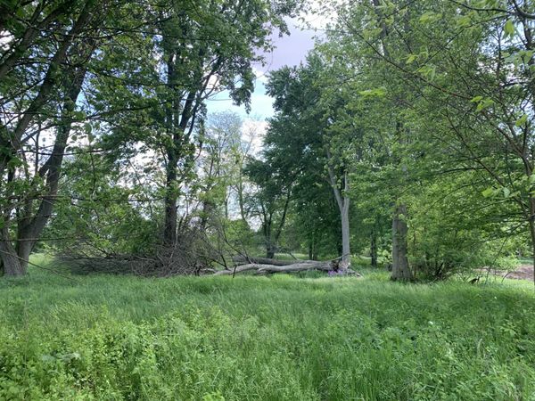 Brink Road, Bronson, MI 49028