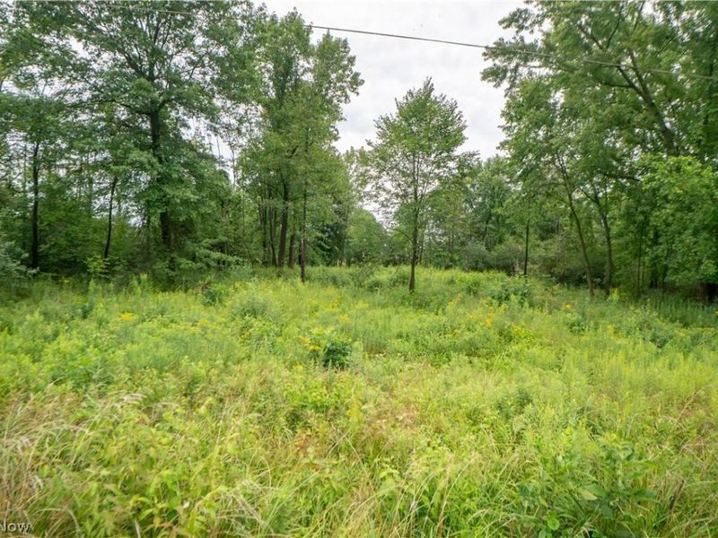 00 Easton Street NE, Alliance, OH 44601 Photo 7