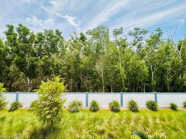 27899 Radiant Ct , Bonita Springs, FL 34135 Photo