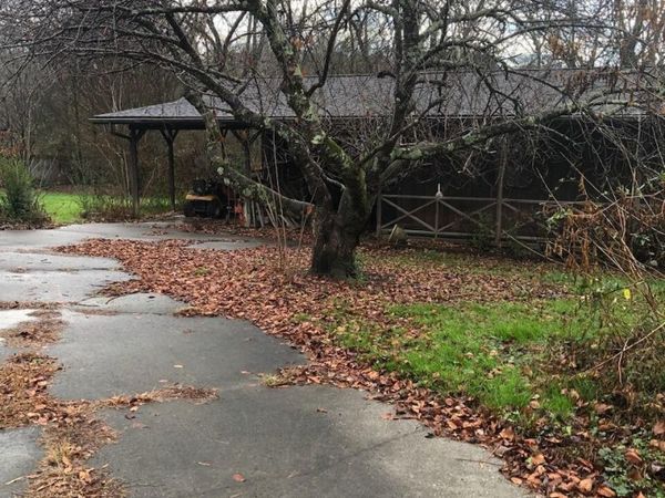 1800 Frankie Lane , Sevierville, TN 37876