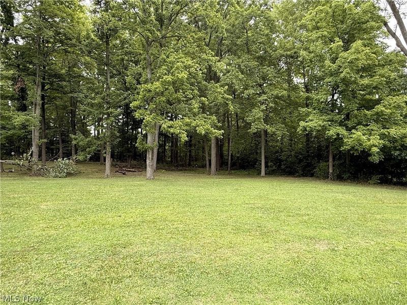 V/L Fairview Avenue, Aurora, OH 44202 Photo 1