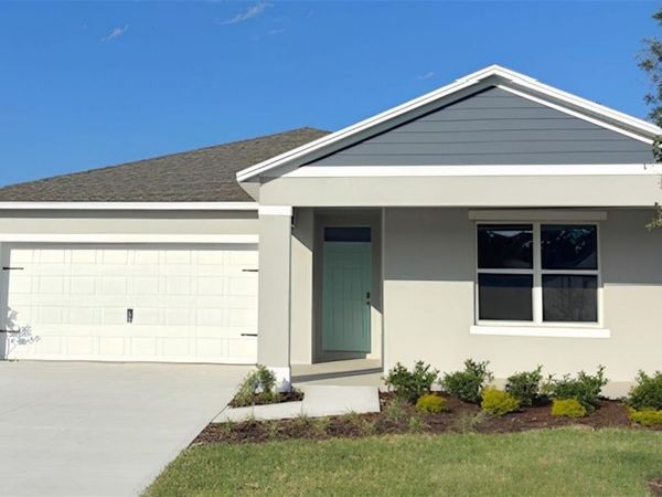 6786 SCRUB HICKORY AVENUE , APOPKA, FL 32712