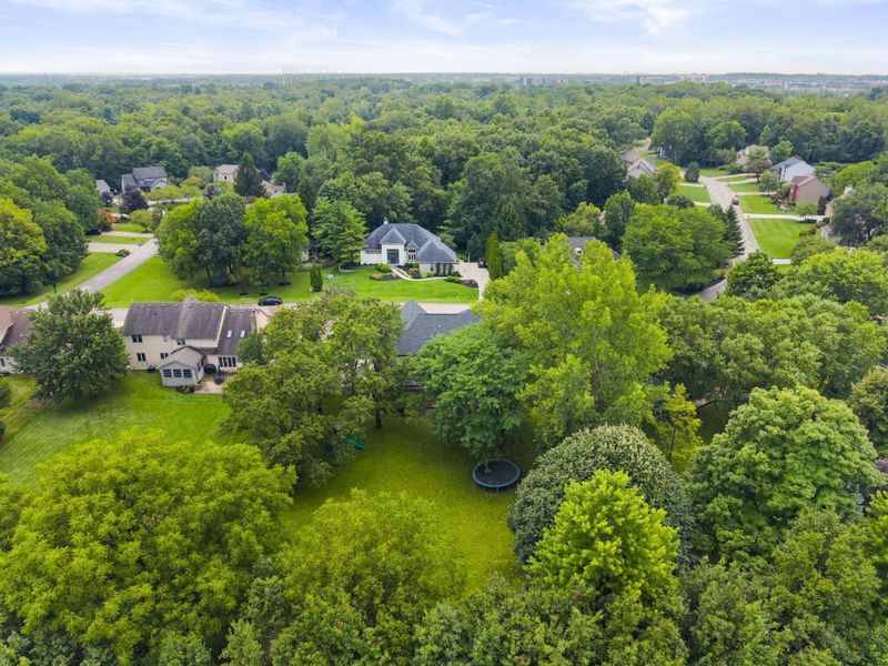 3523 Foxcroft Drive, Lewis Center, OH 43035 Photo 69