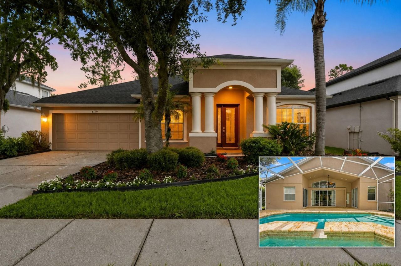 27417 Silver Thatch Drive , Wesley Chapel, FL 33544 Main Photo