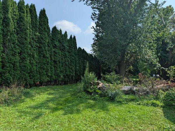 4449 2nd Street, Windsor, WI 53598