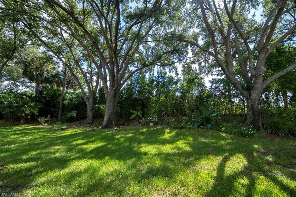 20659 Country Barn Dr, Estero, FL 33928 Photo