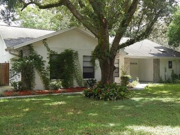 10313 N 53rd Street , Other Florida, FL 33617