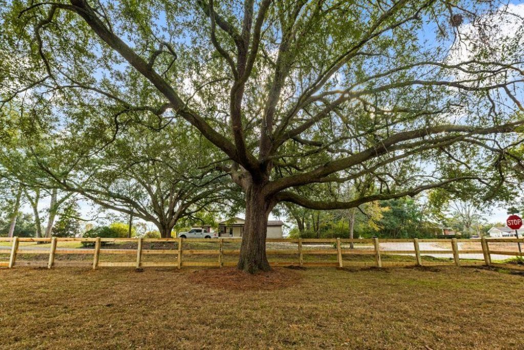 900 Circle Drive , Havana, FL 32333 Photo