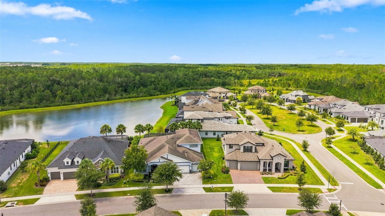 4093 Epic Cove, Land O Lakes, FL 34638 Photo