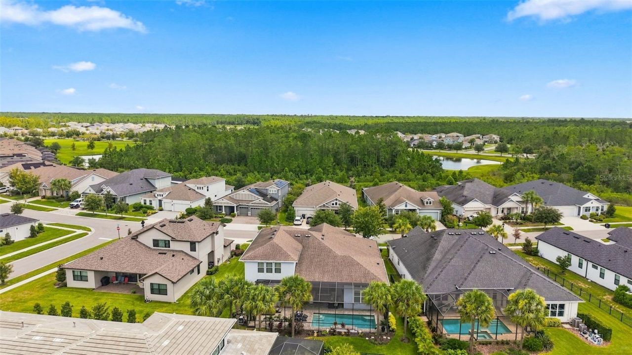 4093 Epic Cove, Land O Lakes, FL 34638 Photo