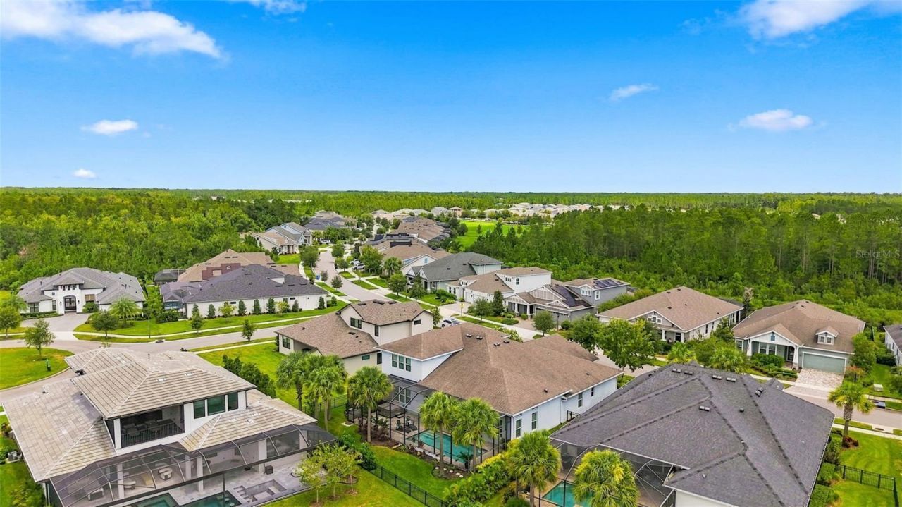 4093 Epic Cove, Land O Lakes, FL 34638 Photo