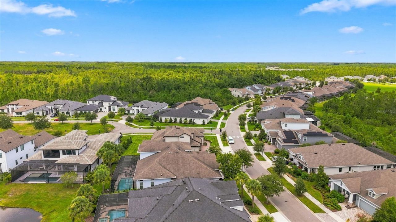 4093 Epic Cove, Land O Lakes, FL 34638 Photo
