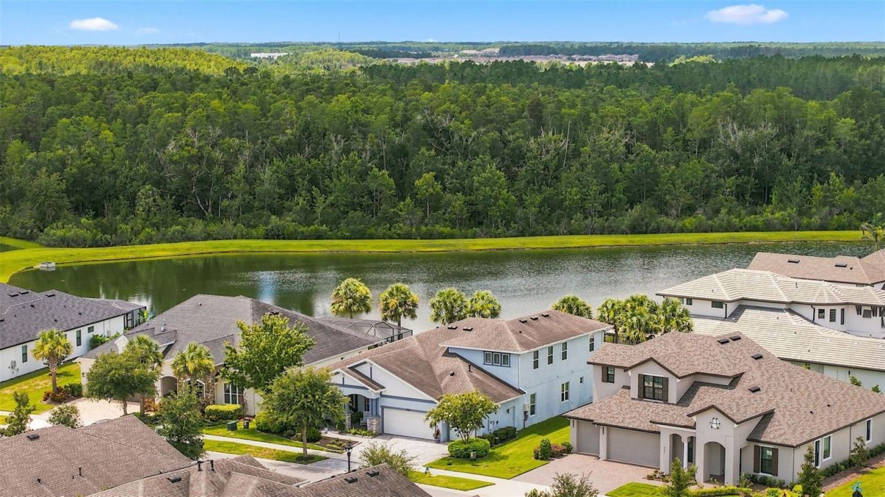 4093 Epic Cove, Land O Lakes, FL 34638 Photo