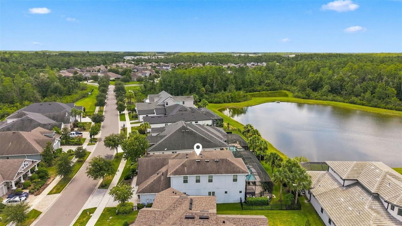 4093 Epic Cove, Land O Lakes, FL 34638 Photo
