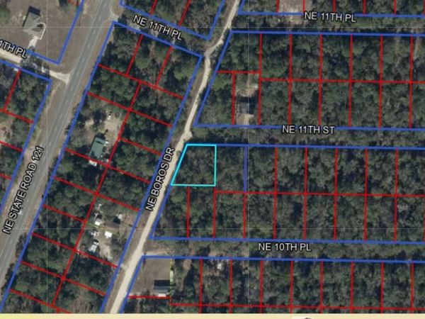 0 NE 11TH STREET , WILLISTON, FL 32696