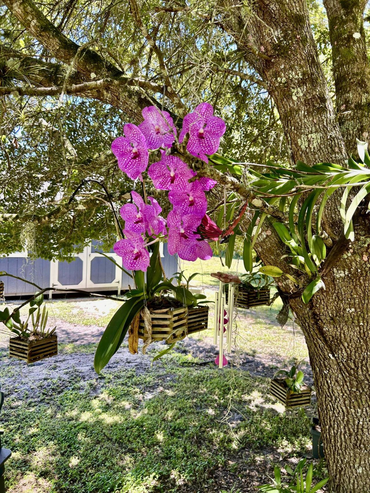 30000 NE 65th Terrace, Okeechobee, FL 34972 Photo