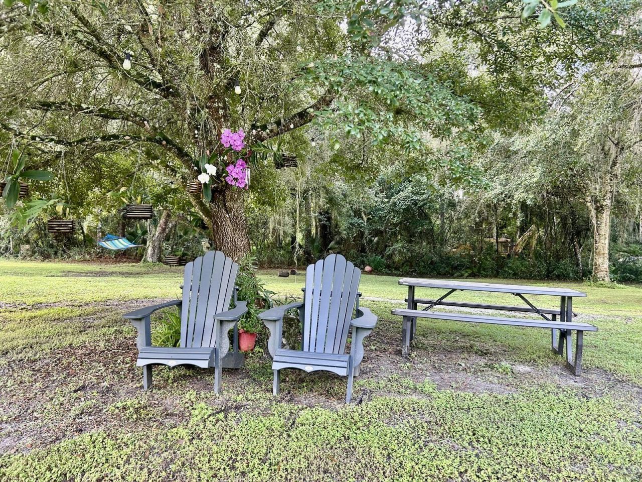 30000 NE 65th Terrace, Okeechobee, FL 34972 Photo