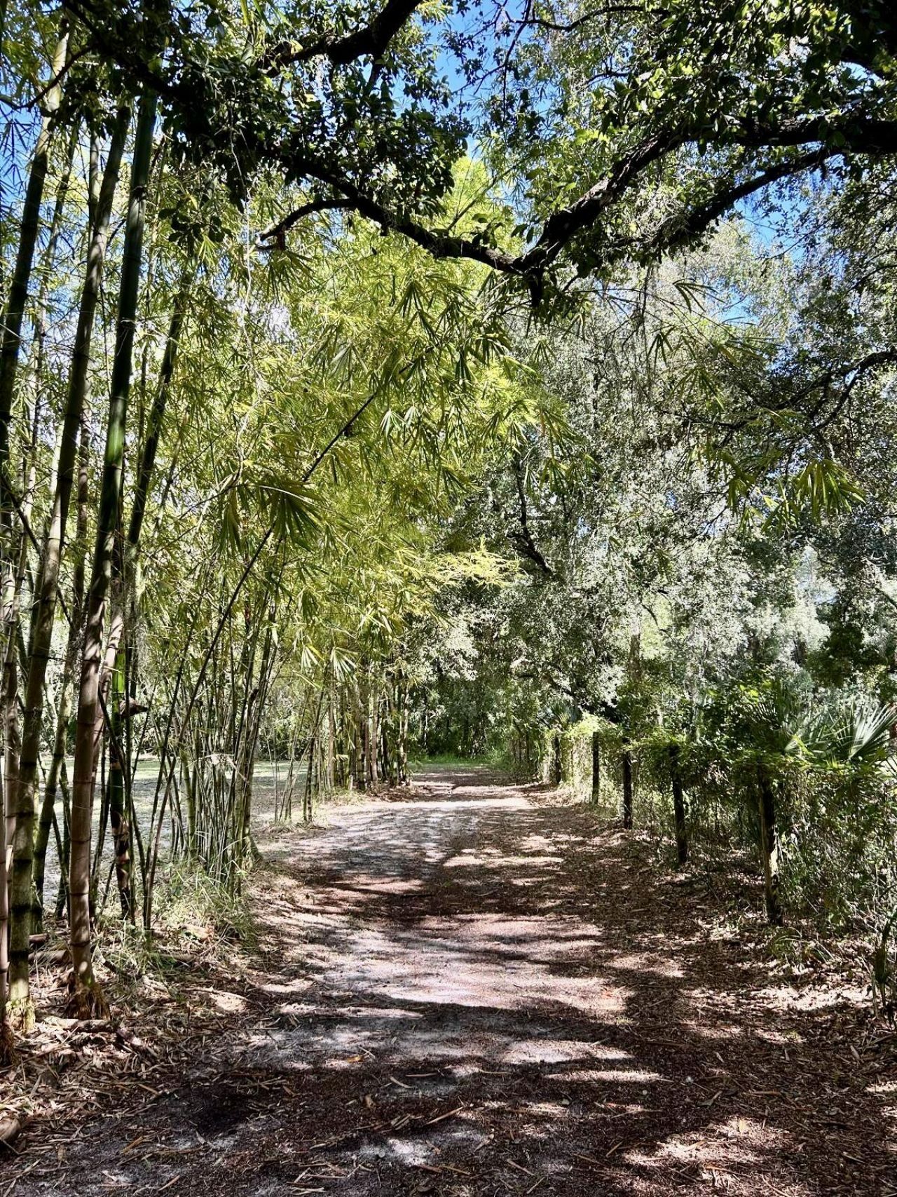 30000 NE 65th Terrace, Okeechobee, FL 34972 Photo