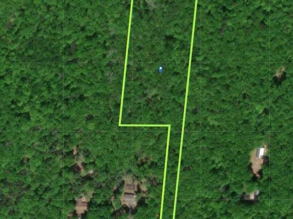 Par E-2 W Pinewood Drive, Roscommon, MI 48653