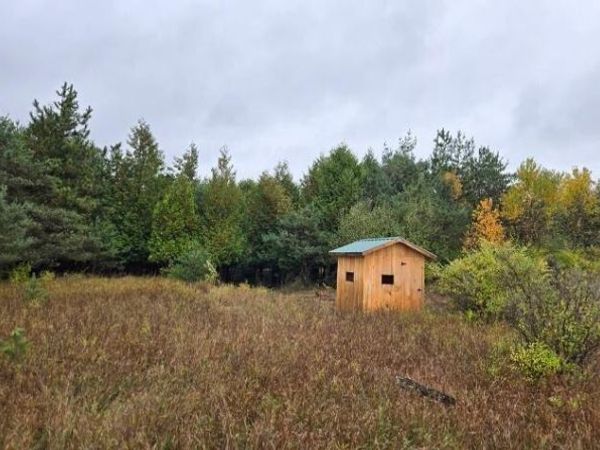 12546 Orcutt Highway, Millersburg, MI 49759