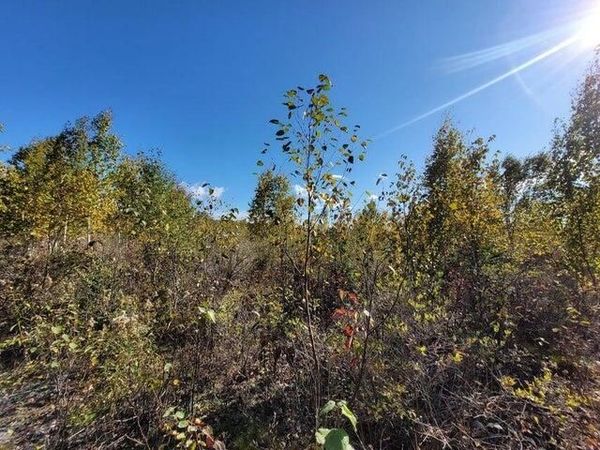 V/L 20.8AC County Road 451, Rogers City, MI 49779