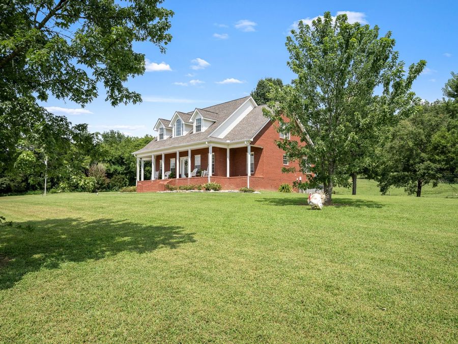 Property Image 8