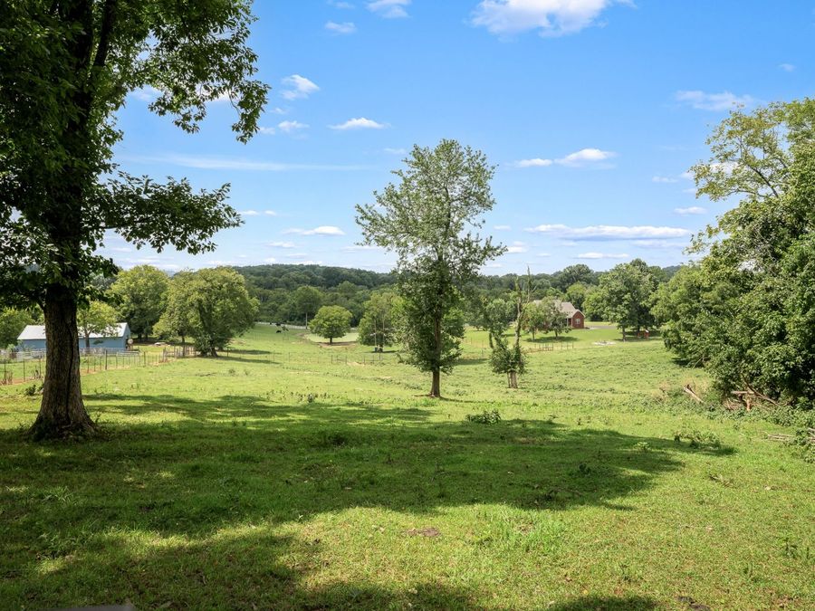 Property Image 80