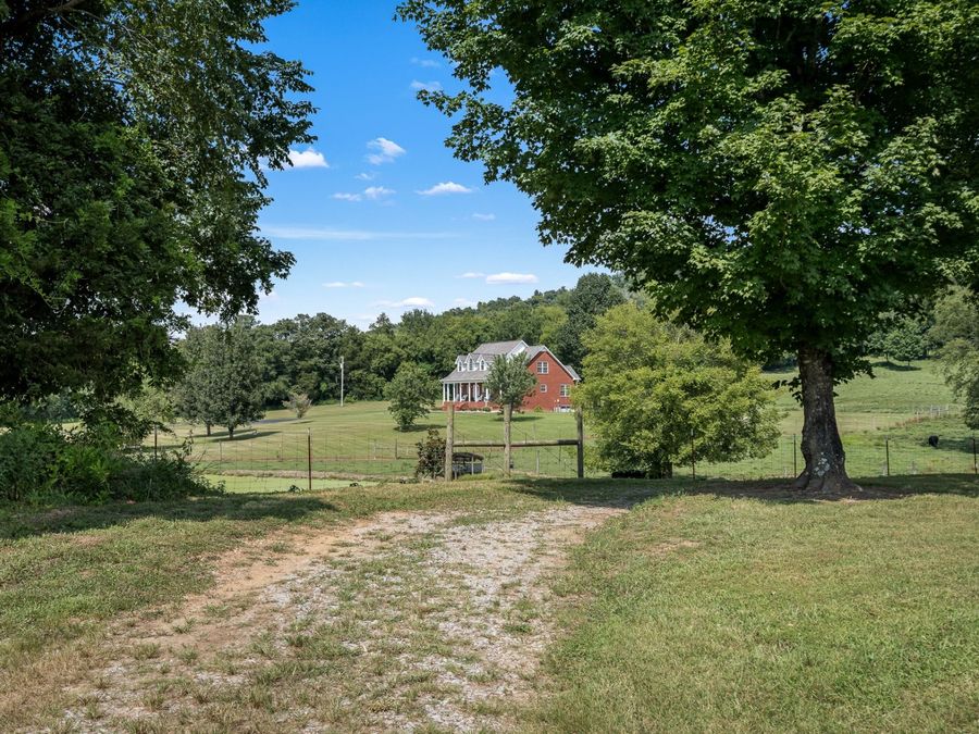 Property Image 91