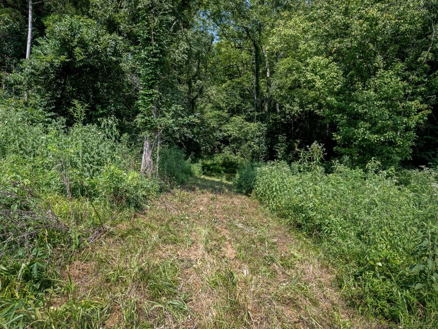 Property Image 58