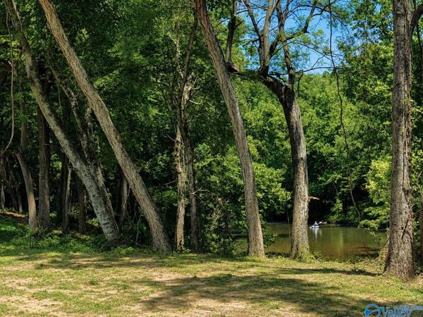 Lot 35 County Road 336, Piedmont, AL 36272