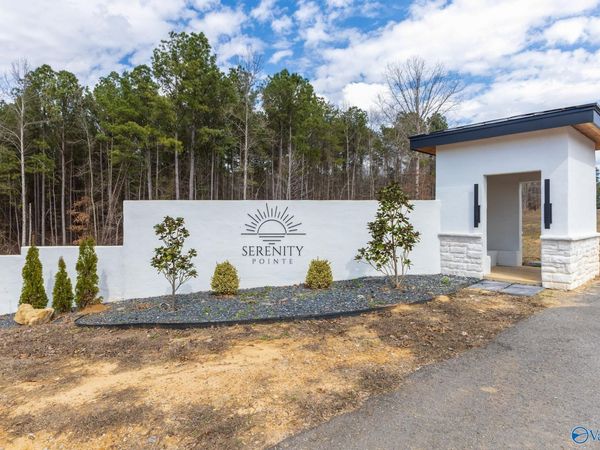 Lot C9 County Road 913, Crane Hill, AL 35053
