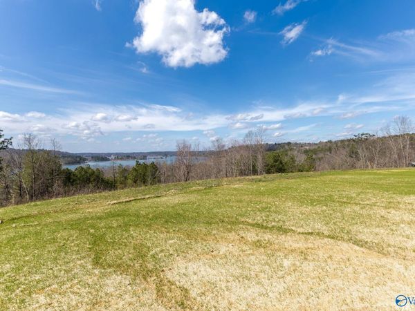 Lot C8 County Road 913, Crane Hill, AL 35053