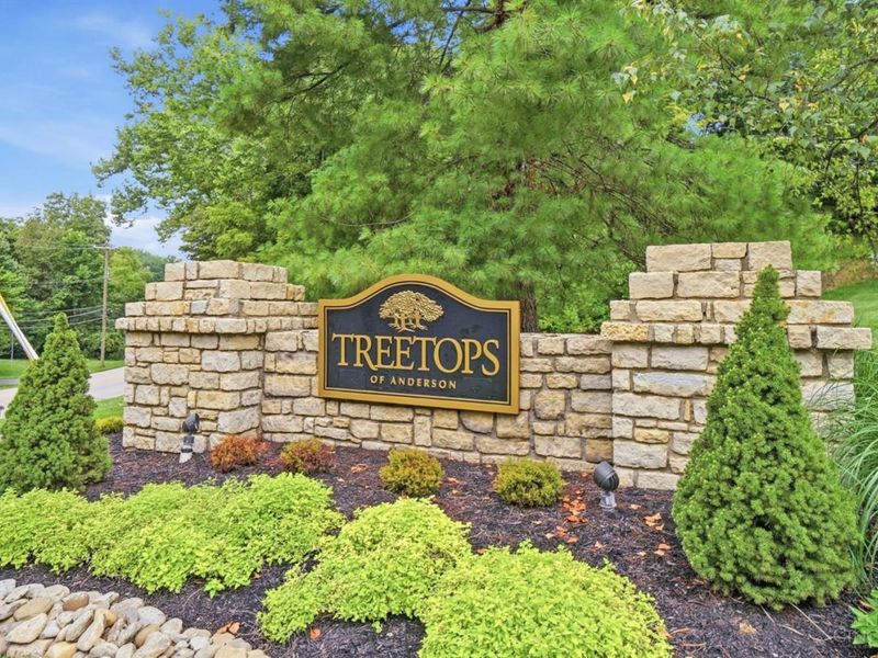 6915 Treeridge Drive, Anderson Township, OH 45244 Photo 77