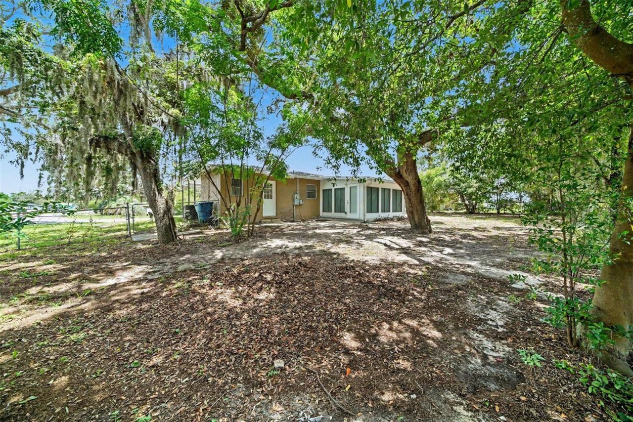 6925 Treehaven Drive, Spring Hill, FL 34606 Photo