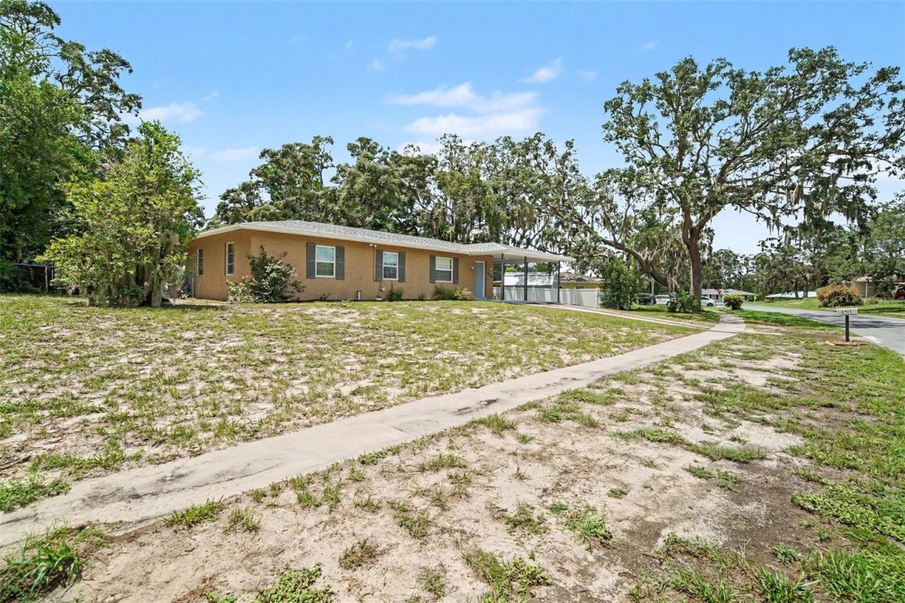 6925 Treehaven Drive, Spring Hill, FL 34606 Photo