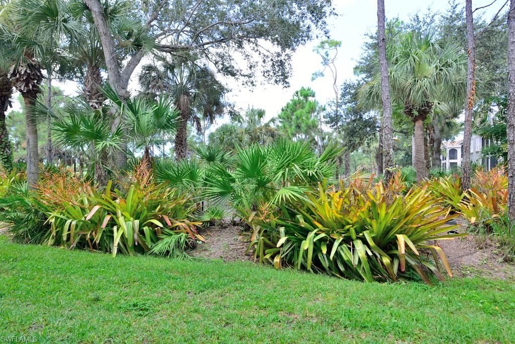 9097 Cherry Oaks Trl, Unit 102, Naples, FL 34114 Photo