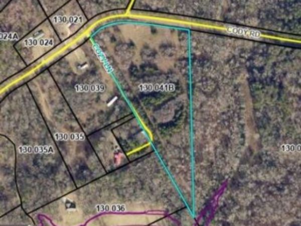 10.8 AC Cody Road, Mt. Airy, GA 30563