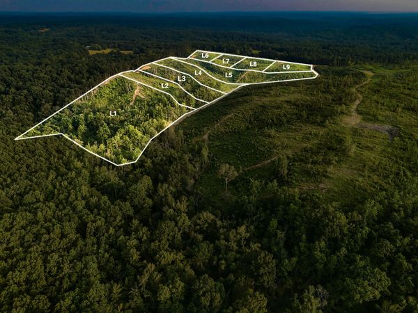Parcel 5 County Road 600, Walnut, MS 38683