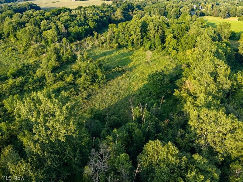 W West Salem Road, Burbank, OH 44214 Photo 18