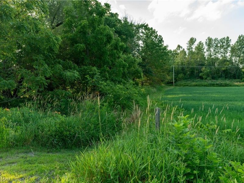 W West Salem Road, Burbank, OH 44214 Photo 3