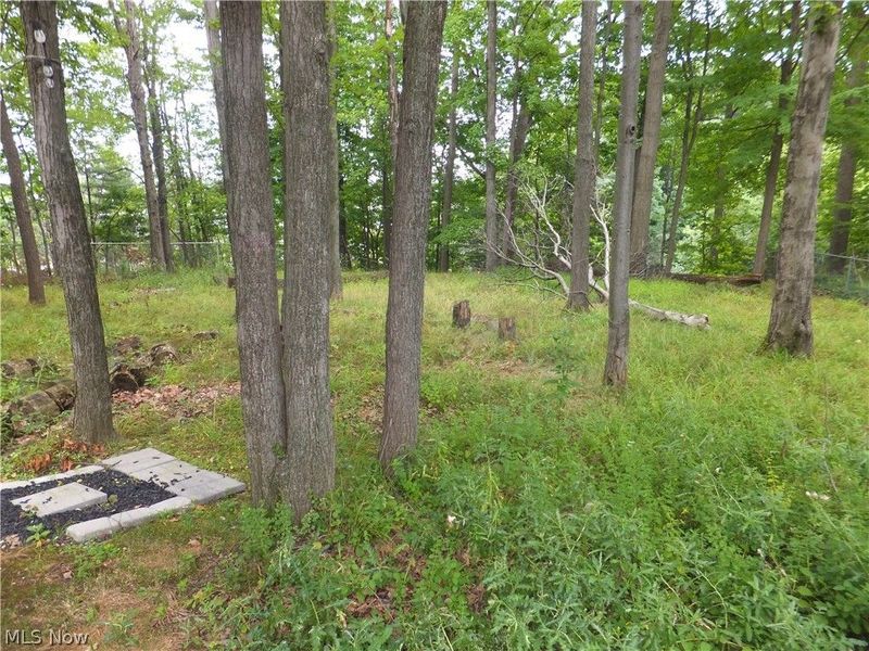 3041 Belmont Drive, Brooklyn Heights, OH 44131 Photo 30